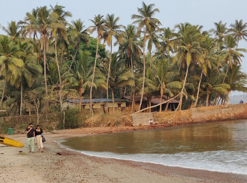 Hollant Beach, Goa, India